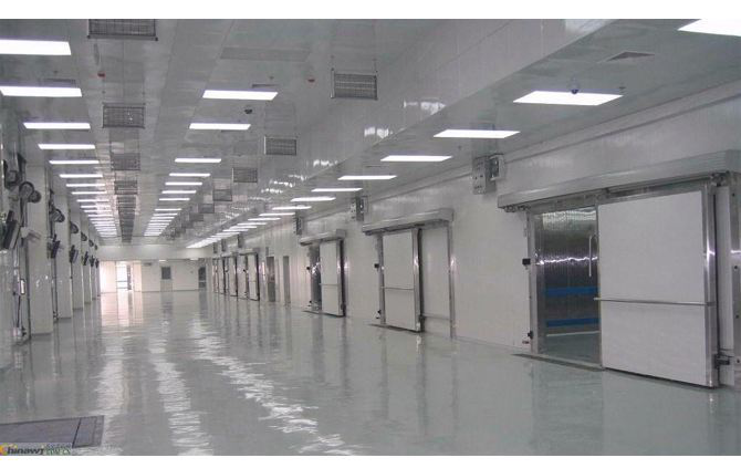 這款塑料托盤打入“冷宮”，也能混的如魚得水？